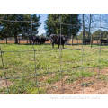 Free samples galvanized field wire mesh cattle fence